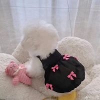 Summer Dog Dress Bowknot Princess Dress Pet Clothing Cute Tulle Black Skirt Mascotas Sweet Dog Clothes Teddy Chihuahua Dresses