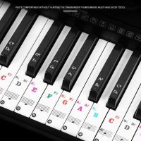 88/61/54/49 Key Color Piano Letter Notes Stickers Keyboard Hand Roll Piano Keyboard Transparent Stickers Notation Transparent