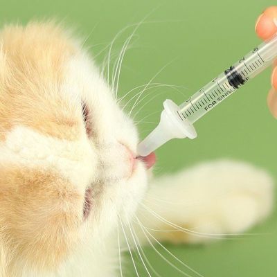 【JH】 Newborn Feeding Set for Dog Cats Hamster Pacifier Medicine Pets Oral Syringe with Silicone Nipple