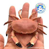 Munich Play - โมเดล Field Crab ปูนา ปูนแดง ขนาด 9.40 CM (จากหาดใหญ่)