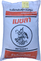 เมล็ดพันธุ์ข้าว สันป่าตอง1 พันธุ์ข้าวเหนียว สันป่าตอง1( อายุเก็บเกี่ยว 130 วัน )