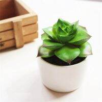 Mini Small Artificial Succulents Plants For Home Garden Living Room Desktop Decor Fake Plants Flower Arrangement Accessories