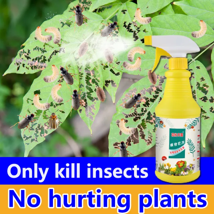 【500ml】MN racun serangga tanaman,Racun Serangga,Insecticide,Only kill ...