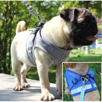 【Ready Stock】Dog Harness Vest Reflective Walking Lead Leash for Puppy Dog