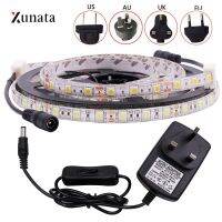 DC12V LED Strip Light SMD5050 60LEDs/M Flexible LED Tape Waterproof LED Ribbon with DC Connector EU/US/AU/UK Plug for Decoration