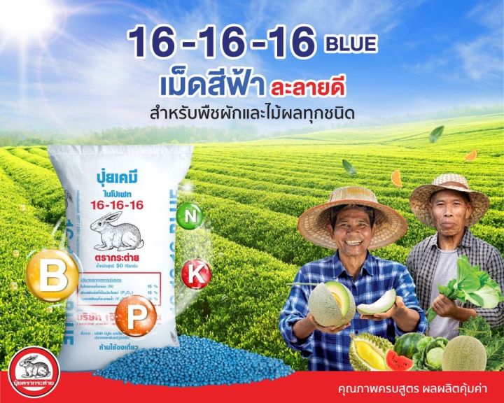 จัดส่งฟรี-ปุ๋ยเคมี-สูตร-16-16-16-ตรากระต่าย-blue-เม็ดสีฟ้า