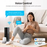 Tuya Smart Life Wifi Wall Push Button Switch&amp;16A Smart Socket Brazil Standard 4X2 Light Switch With USB Type C Alexa Google Home