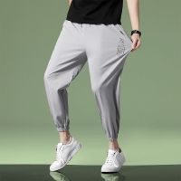 COD SDFERTREWWE Summer Korean Style Fashion All Match Ice Silk Sports Casual Pants Men Harem Pants Jogging Pants Seluar Panjang Lelaki