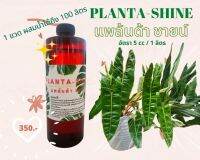 PLANTA-SHINE แพล้นต้า ชายน์ ผลิตภัณฑ์จากพืชเพื่อปกป้องดูแลใบไม้ให้เงางาม