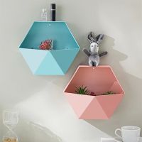 【CC】 Color Room Wall-mounted Wall Decoration Shelf  Hexagon Storage Rack