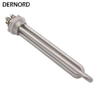 Dernord ฮีตเตอร์ Dc 12V 300W 600W 24V 600W 36V 1200W 48V 1500W สกรูใน1นิ้ว Bsp Npt ส่วนประกอบความร้อนสำหรับพลังงานแสงอาทิตย์พลังงานลม