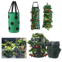 wall hanging Strawberry grow pots Fabric Planter Bags flower Tomato planting vertical Garden tools Plant Bags For Veg Flower a1