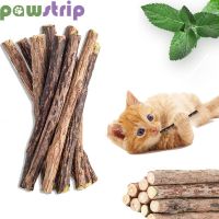 10/15/20pcs/lot Pure Natural Catnip Sticks Bite Resistance Pet Cat Molar Snacks Sticks Pet Cleaning Tooth Cat Toys Pet Supplies Toys