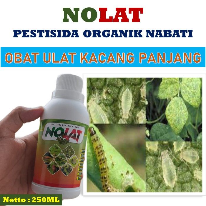 Obat Pembasmi Hama Ulat Kacang Panjang 250ML NOLAT Pestisida Organik