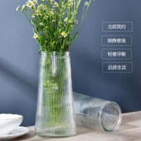 MUJI High-end Simple Transparent Glass Vase Desktop Flower Arrangement Water Raising Dried Flowers Fresh Flowers Vase Ins Style High-value Living Room Decoration