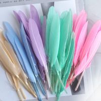 Feathers 10-15cm Multicolor for Wedding Decoration Materials