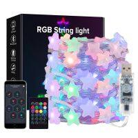 ❀ WS2812B LED String RGB Dream Color Birthday Decoration Party Star Strawberry Rugby Lights Room USB App Remote Led Light DC5V