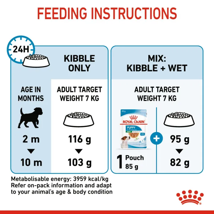 หมดอายุ4-24-royal-canin-mini-indoor-puppy-1-5-kg-อาหารสำหรับลูกสุนัขเลี้ยงในบ้าน-ลดกลิ่นอึ-กลิ่นฉี่