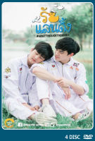 DVD ละครไทย เรื่อง รักแลนด์ดิ้ง (4แผ่นจบ)
