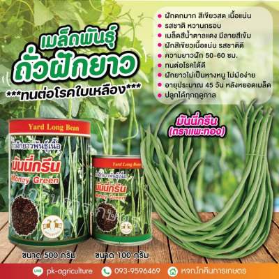 เมล็ดพันธุ์ถั่วฝักยาวมันนี่กรีน ขนาด 100-500 กรัม