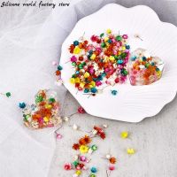 【cw】 Silicone world 1/2g Real Dried Flowers Little Star Epoxy Resin Jewelry Making Decoration Mold Filling ！