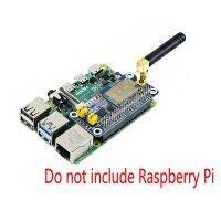 Raspberry Pi SX1262 LoRa HAT 915MHz Frequency Band