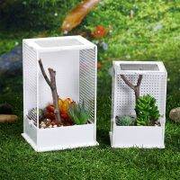 Insect Feeding Box Plastic Transparent Breeding Case for Spider Lizard Centipede Horned Frog Mantis Small Snake 2 Sizes