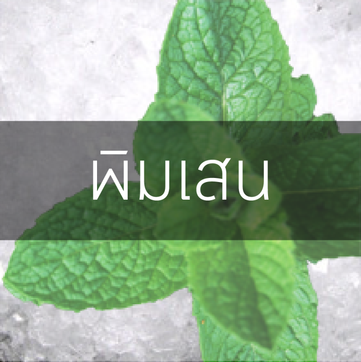 แพค-100g-พิมเสน-เกล็ด-เกรดพรีเมี่ยม-100-พิมเสน-การบูร-พิมเสนน้ำ-พิมเสนเกล็ด-ยาดมพิมเสน-ต้นพิมเสน-ชูดทำพิมเสน-ผงพิมเสน-500-กรัม-น้ำมันพิมเสน