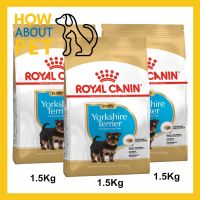 ห้ามพลาด [ลด50%] แถมส่งฟรี อาหารลูกสุนัข Royal Canin Yorkshire Terrier Puppy พันธุ์ยอร์คไชร์ เทอร์เรีย อายุต่ำกว่า 10 เดือน 1.5กก. (3ถุง)Puppy Food