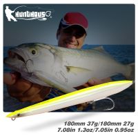 Hunthouse Fishing Lure Pencil SG Surf Hard Bait Sinking Floating Baits Japan Made Pencil Sandeel Surf Walker Needle Fishing Gear