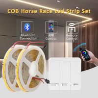 COB IC Horse Race LED Strip Light DC24V WS2811 Running Water Flowing Tape Lamp Wireless Bluetooth Control 5M 10M Linear Lighting