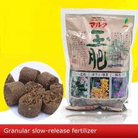 500g big granular 2.4-2.6cm Fertilizer Potted Landscape Slow Release Fertilizer with Long-acting Organic Orchid