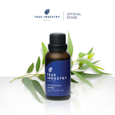 True industry น้ำมันหอมระเหย 100 % ยูคาลิปตัส  (Pure Eucalyptus Essential Oil) สำหรับใส่เครื่องพ่นอโรม่า เครื่องพ่นไอน้ำ