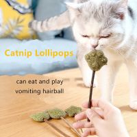 Catnip Lollipop Edible Catnip Ball Safety Healthy Cat Mint Cats Home Chasing Game Toy Products Clean Teeth The Stomach Catmint Toys