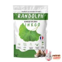 RANDOLPH แรนดอล์ฟ HERBAL TX Ginkgo กิงโกะหรือแป๊ะก๊วย ขนมเชิงสุขภาพ 70 กรัม