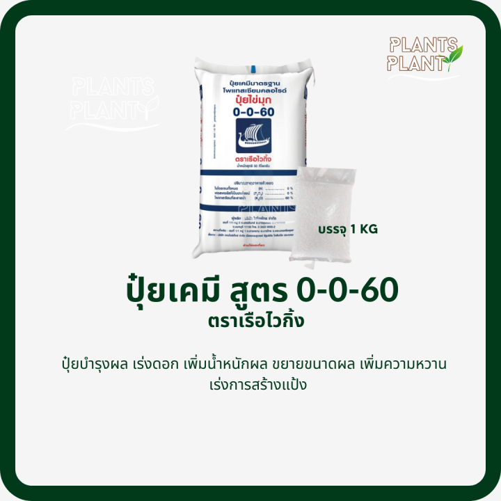 ปุ๋ยเคมี-0-0-60-1kg-ตราเรือไวกิ้ง-ปุ๋ยเร่งแป้ง-เร่งหวาน-ใส่ผัก-ผลไม้-ไม้ดอกไม้ประดับ