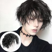 DIANQI Males Wig  Short Curly Black Synthetic Wigs With Bangs for Men Women Boy Fake Hair Wig  Hair Extensions Pads