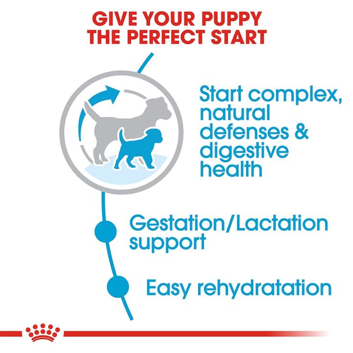 1kg-royal-canin-mini-starter-รอยัล-คานิน-อาหารลูกสุนัขพันธุ์เล็กอายุ1-2เดือน-และแม่สุนัขตั้งท้อง-เม็ดเล็ก-1กก-1ถุง