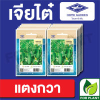 ผักซอง เจียไต๋ CT15 เมล็ดพันธุ์ พันธุ์ผัก แตงกวา บรรจุแพ็คล่ะ 10 ซอง ราคา 70 บาท