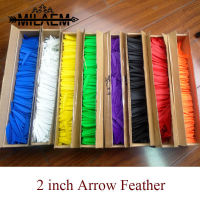 100Pcs 2นิ้วลูกศรใบกังหันยางปีกธนู Fletches Bow และ Arrow DIY