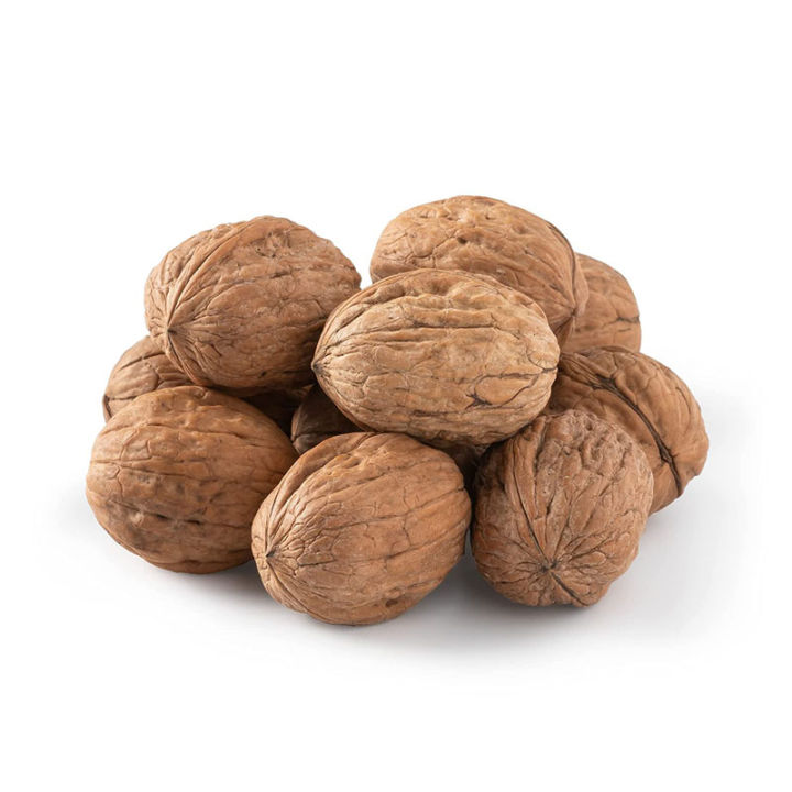 วอลนัท-walnut-สำหรับนกแก้ว-หนูแฮมสเตอร์-กระรอก-แพรี่ด็อก-และสัตว์ฟันแทะ-แบ่งขาย-5ลูก-10ลูก-20ลูก