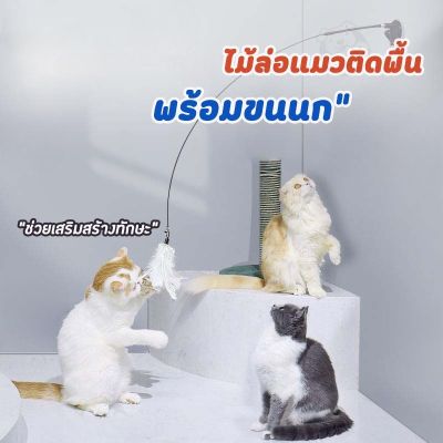 【Familiars】ของเล่นแมว ของเล่นล่อแมว Cat toy ขนนก แบบปุ่มดูดสุญญากาศ ไม้ตกแมว ไม้แหย่แมว สําหรับแมว