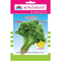 เมล็ดพันธุ์ ผักโขม เบตง ตราตะวันต้นกล้า