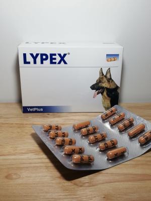 LYPEX (60 แคปซูล) ไลเป็กซ์เอนไซม์ช่วยย่อยอาหาร ในสุนัข-แมวที่เป็นตับอ่อนอักเสบ EPI EXP09/2023