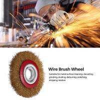 Wire Brush Wheel for Bench Grinder Polish + Reducers Adaptor Rings,6inch 150Mm