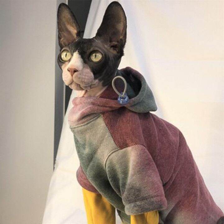 sphynx-เสื้อสเวตเตอร์ไม่มีขนสำหรับมาใหม่ล่าสุดเสื้อฮู้ดแมวสำหรับสุนัขและแมวทำจากผ้าฝ้ายสฟิงซ์มีขนแฟชั่นเสื้อฤดูใบไม้ร่วงฤดูหนาวหรูหรา