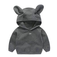 Kitten HOODIE Sweatshirts For Boys 7-17Kg