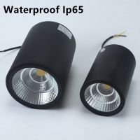 【CW】 110V 220V Black/White Ip65 Lamp Mounted Downlight 7W 12w 20w 30w COB Ceiling