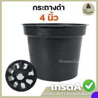 กระถางดำ 4 นิ้ว ชุด 10ใบ 20ใบ l กระถาง 4นิ้ว กระถางต้นไม้ กระถางพลาสติก กระถางไม้ใบ กระถางไม้ด่าง กระถางเพาะต้นอ่อน Dreamcactus