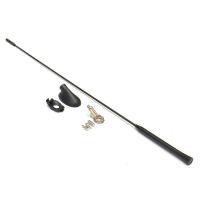 【CW】 AM/FM Car Antenna Base Kit For Ford Focus 2000 2007 Auto Roof Aerial Mast